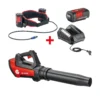 Akku-Laubbläser LB 4250 Set - Inkl. Akku Und Ladegerät