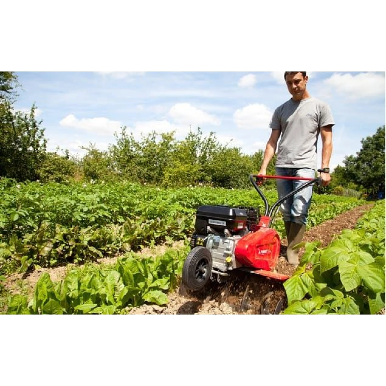 Motorhacke MHE 881 P - EcoMax E-Start 2 Motorhacke MHE 881 P - EcoMax E-Start – Bild 2