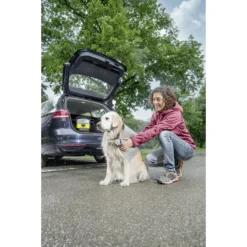 Kärcher Druckreiniger Mobile Outdoor Cleaner OC 3 Pet Box -Gartengeräte Geschäft 45661 3 Kaercher 16800180